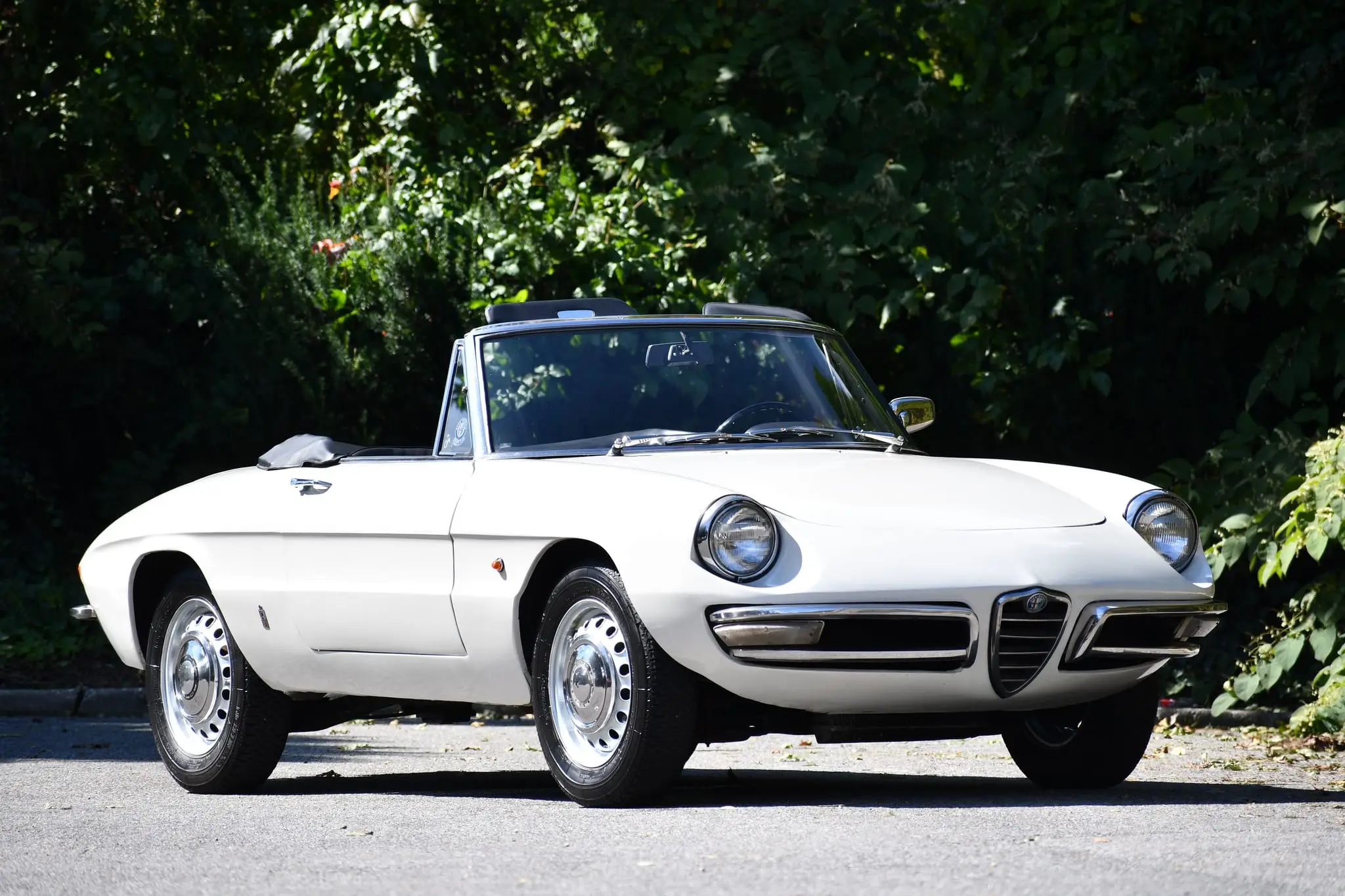 Alfa Romeo Spider