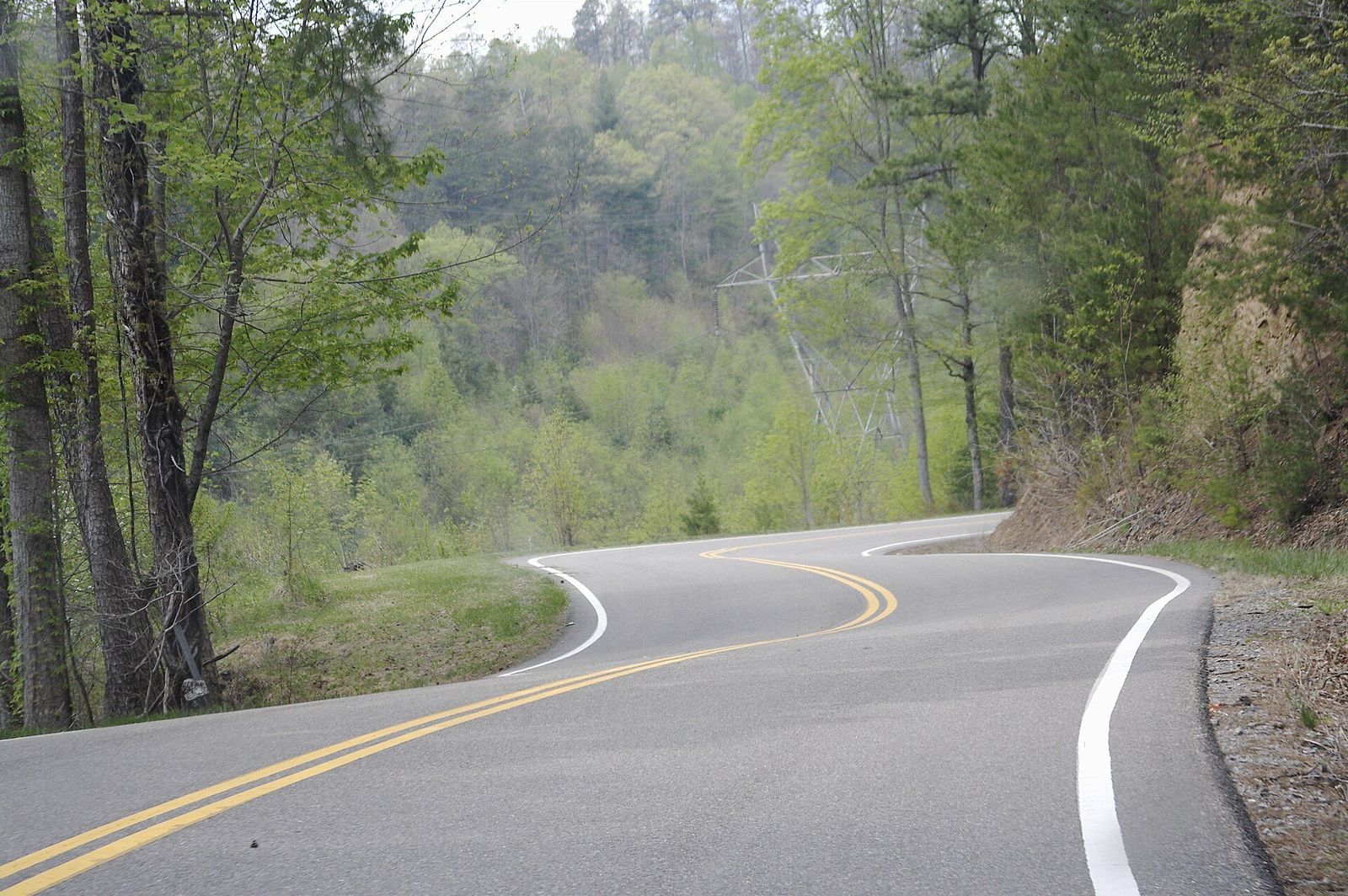 Tail of the Dragon — US 129 — US 129 in the spring woods — a road with no straights